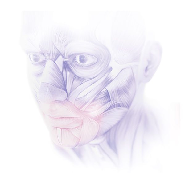 implantologie-visage-3D implantologie visage en 3D